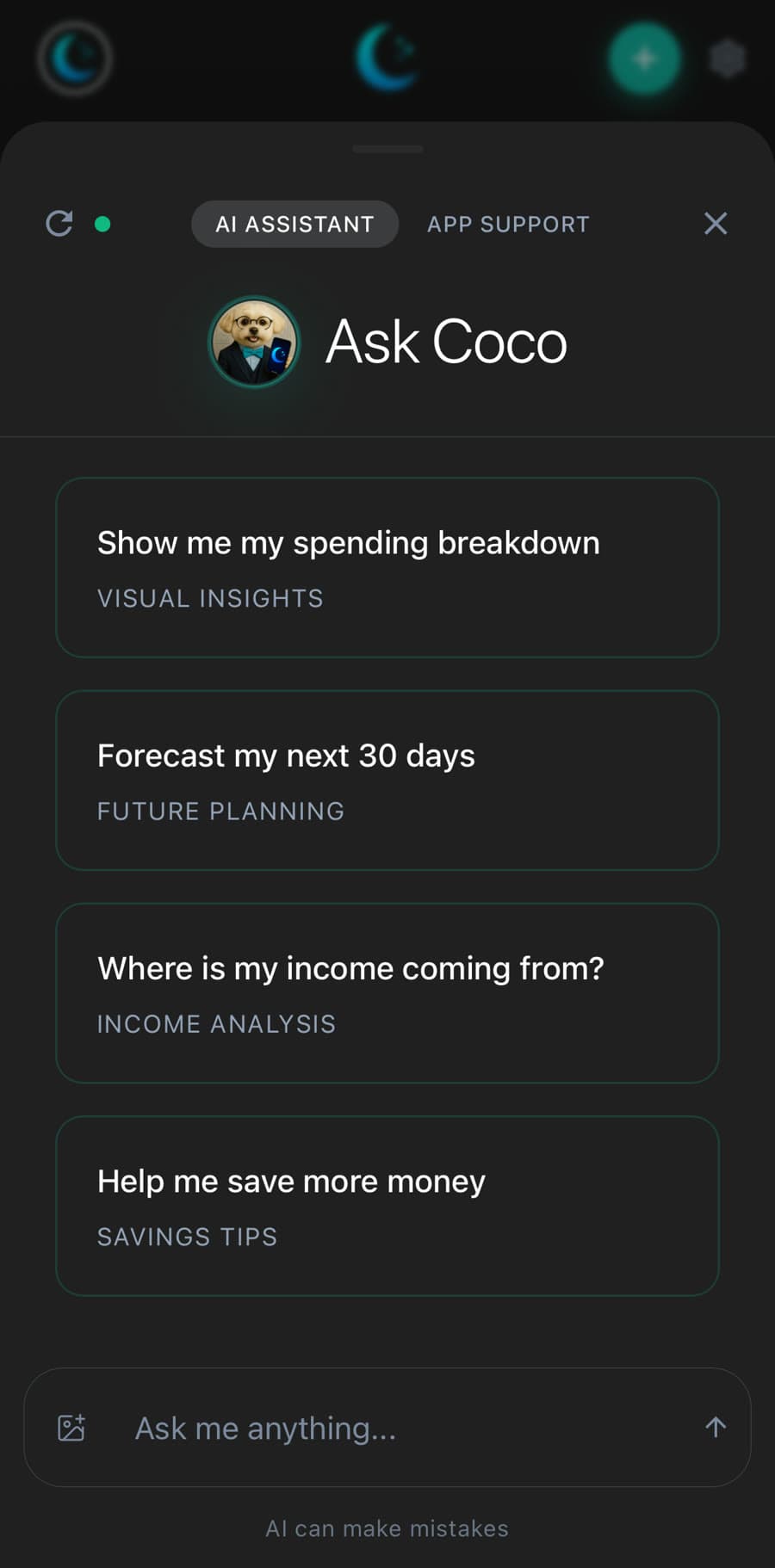 Luna Money iPhone app: Coco AI